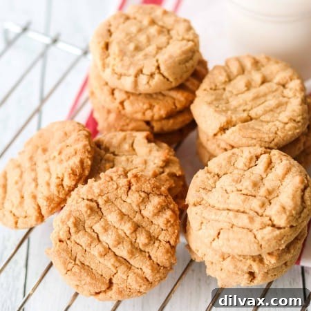 Irresistible Peanut Butter Bites 7 Classic Peanut Butter Cookies