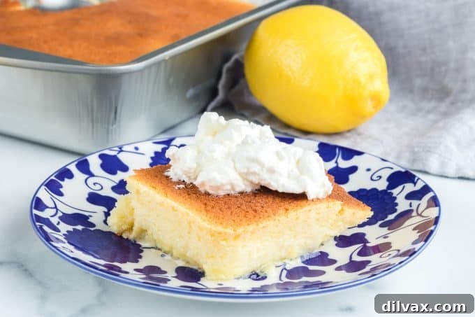 Lemon Pudding Cake, showcasing its distinct pudding and cake layers.