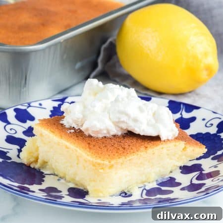 Lemon Pudding Cake