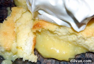 A final close-up of the delicious Lemon Pudding Cake.