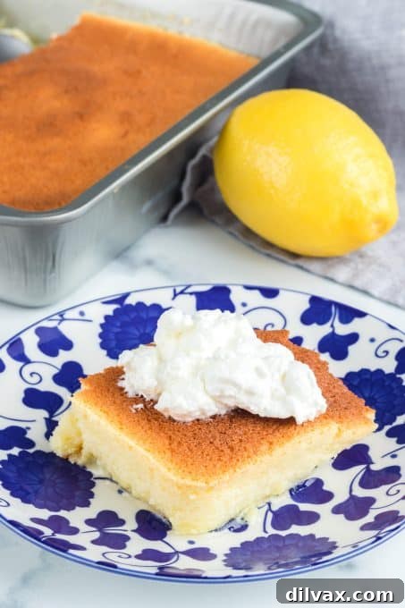 A beautifully baked Lemon Pudding Cake, showcasing its perfect top.