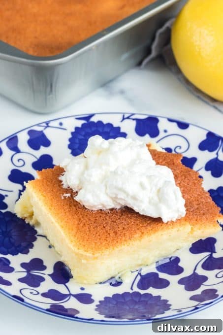 A close-up of the baked Lemon Pudding Cake, ready to be portioned.