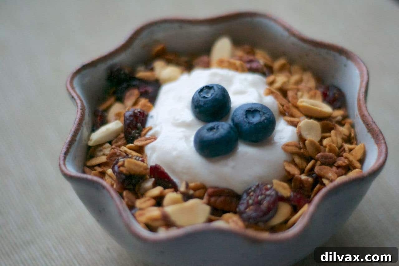 Ruby Red Chia Granola 2 Homemade Cranberry Chia Granola in a bowl, made with oats, dried cranberries, chia seeds, pecans, peanuts, and almonds, flavored with vanilla and cinnamon, sweetened with honey and pure maple syrup.