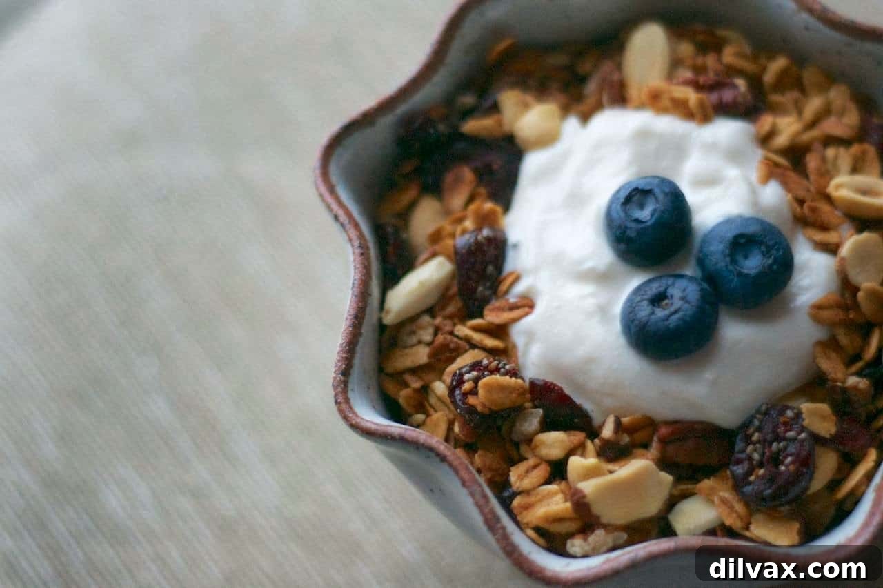 Ruby Red Chia Granola 3 Close-up of Cranberry Chia Granola showcasing the mixture of oats, nuts, and cranberries.