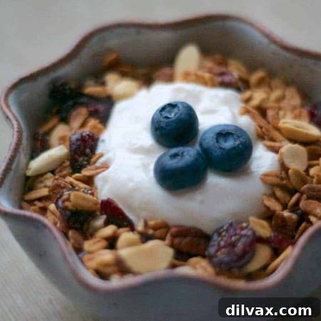 Ruby Red Chia Granola 4 A bowl of delicious Cranberry Chia Granola with a white background.
