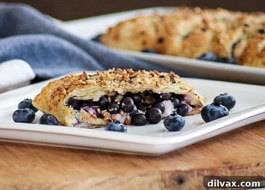 Ruby Red Chia Granola 7 This Blueberry Ginger Cheese Danish is quickly going to become your new favorite breakfast treat! A slice of Puff Pastry with sweetened cream and blueberry ginger filling sprinkled with McCormick Good Morning Blueberry Ginger Breakfast Toppers is hard to resist.