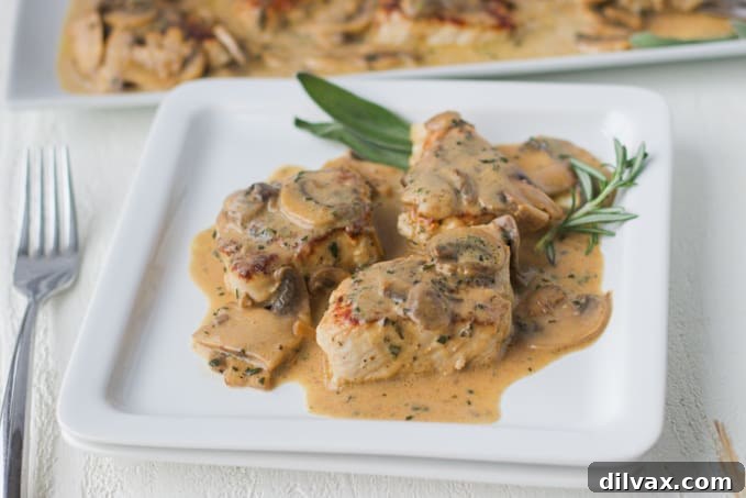 Tender Rosemary Pork Medallions Draped in Mushroom Wine Sauce 2 Perfectly cooked Rosemary Pork Medallions drenched in a rich mushroom wine sauce, ready to be served.
