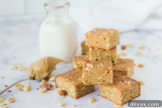 Fudgy Peanut Butter Swirl Brownies 2 Irresistible bars generously made with peanut butter and roasted peanuts, showcasing their rich texture.