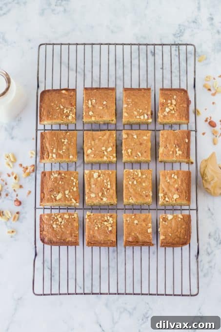 Fudgy Peanut Butter Swirl Brownies 6 A cooling rack filled with golden-brown brownies infused with the irresistible flavor of peanut butter.