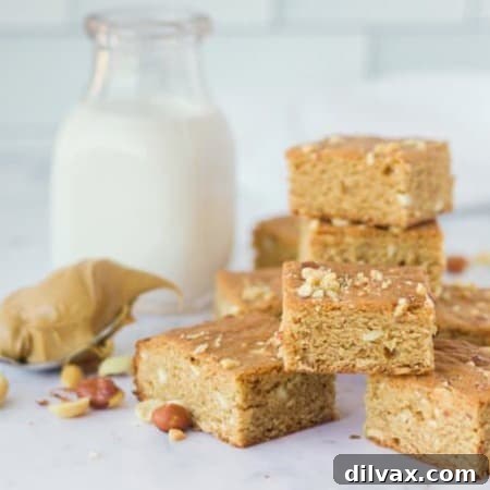 Fudgy Peanut Butter Swirl Brownies 9 Peanut Butter Brownies