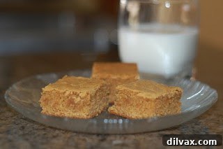Fudgy Peanut Butter Swirl Brownies 10 A final close-up shot of the delectable peanut butter brownies, emphasizing their texture and appeal.