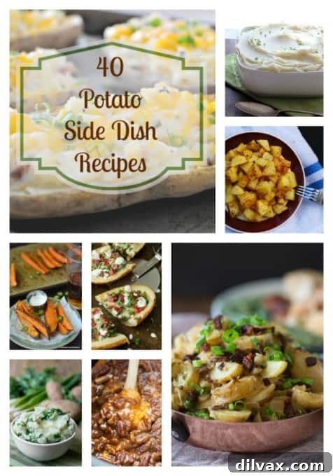 A collage of various potato side dishes, including sweet potato casseroles, twice-baked potatoes, and roasted potatoes, ideal for holiday entertaining.