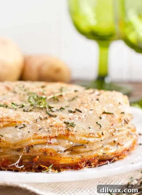 Beautifully arranged Herbed Potatoes Anna recipe, a classic French potato dish with thin slices of potato layered with herbs and butter.