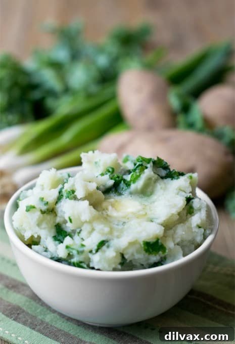 Traditional Irish mashed potatoes blended with tender cabbage or kale and butter, a hearty and flavorful side.