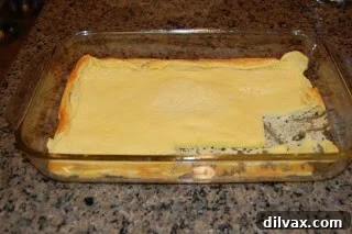 Day Seven: The Grand Experiment Unfolds 4 Third image of the failed baked blintz experiment, emphasizing the incorrect consistency and texture.