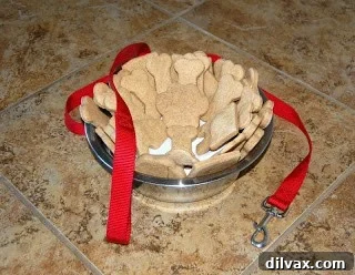 Your Best Friend's New Favorite Surprise Recipe 5 Brady, the Golden Retriever, happily eating his homemade peanut butter treats