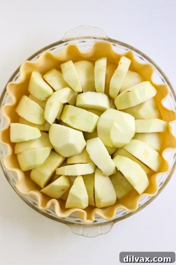 Apples in a pie crust. Apples in a pie crust, ready for baking.