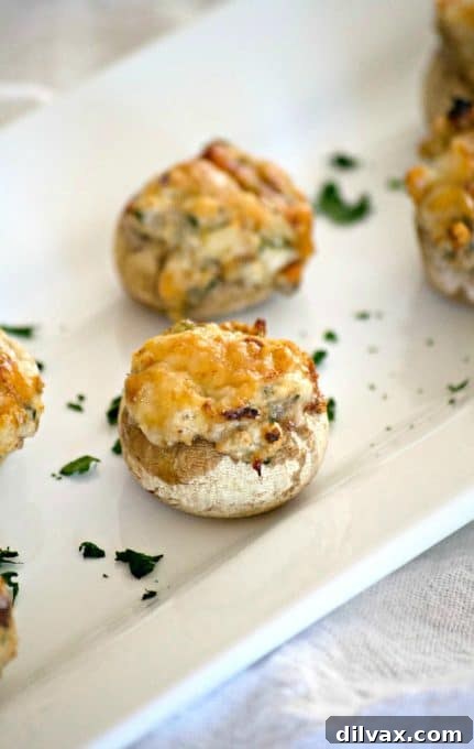 These Cream Cheese Stuffed Mushrooms are button mushrooms filled with cream cheese and a simple season mixture. They're a simple and delicious appetizer that won't last long once they're set out!