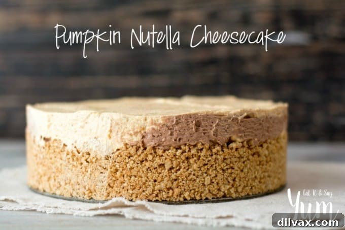 No-Bake Pumpkin Nutella Cheesecake - a delightful autumn and holiday dessert featuring the rich flavors of pumpkin and creamy Nutella, perfectly swirled for an impressive presentation.