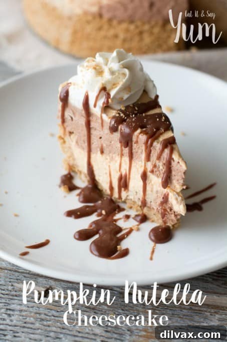 No-bake Pumpkin Nutella Cheesecake recipe, showcasing its creamy texture and enticing swirl, ready to be enjoyed.