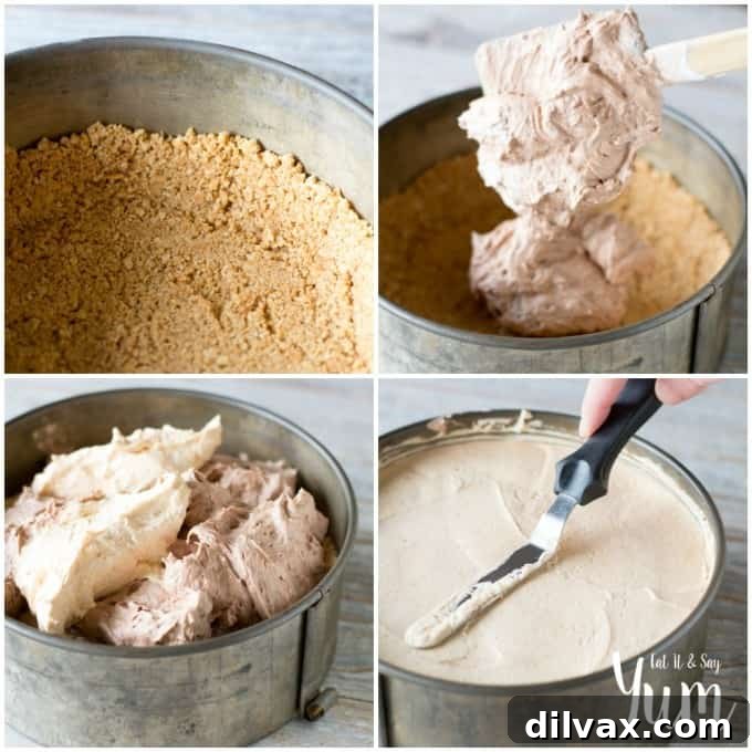 A perfectly smooth No-Bake Pumpkin Nutella Cheesecake, chilled and ready for garnishing, featuring its appealing two-tone filling.