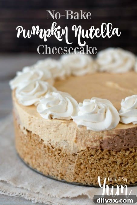 No-Bake Pumpkin Nutella Cheesecake nestled in a classic graham cracker crust, showcasing its inviting texture.