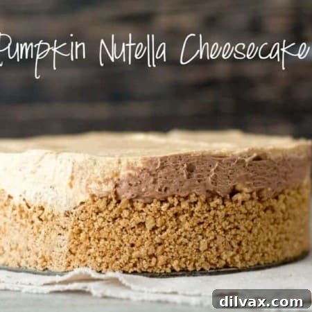 Finished No-Bake Pumpkin Nutella Cheesecake, ready to be served and enjoyed by everyone.