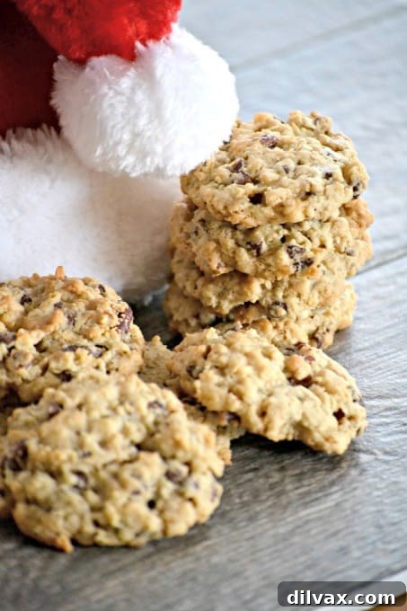 Delicious and versatile Pantry Cookies, ready to be pinned as a family-favorite recipe.