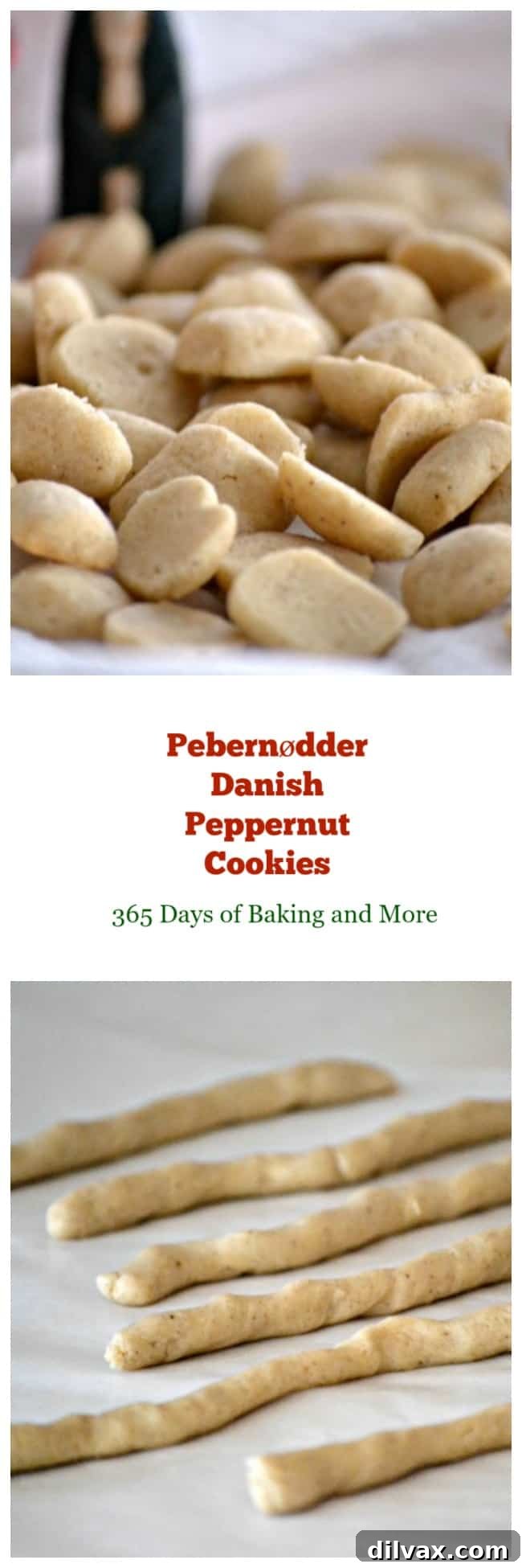 Pebernødder - Danish Christmas Spiced Cookies 5 A large pile of mini Pebernødder cookies, showcasing their golden color and uniform shape, arranged on a serving plate.