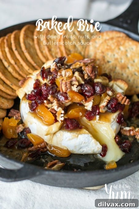 Melted Brie Bliss 13 Baked Brie with dried fruits, nuts, and butterscotch sauce - a festive and easy holiday appetizer that is sure to impress.