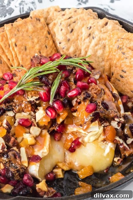 Melted Brie Bliss 8 A festive holiday appetizer featuring baked brie with a lavish topping of dried fruits, nuts, and butterscotch sauce, perfect for a gathering.