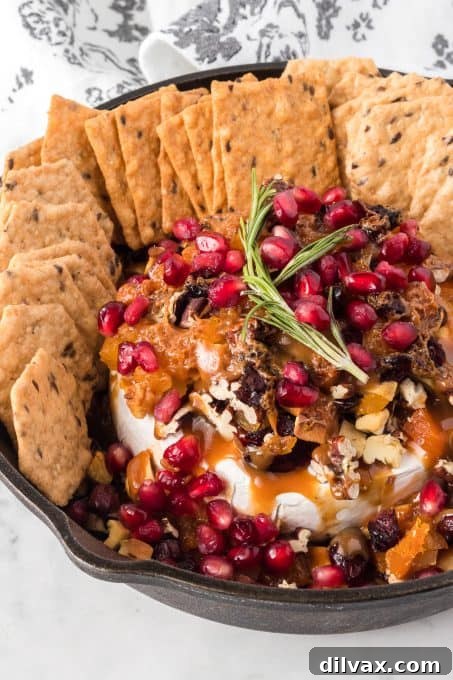 Melted Brie Bliss 9 Close-up of baked brie showcasing the rich butterscotch, dried fruit, and nut toppings, highlighting its texture and inviting appeal.