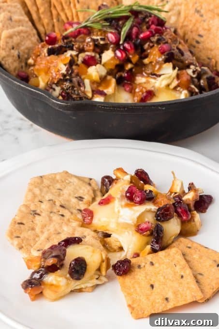 Melted Brie Bliss 10 A delectable spread of baked brie with dried fruits and nuts, accompanied by a variety of crackers, ready for a delightful tasting.