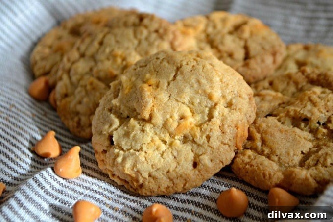 Chewy Oatmeal Cookies made even better with sweet butterscotch chips.