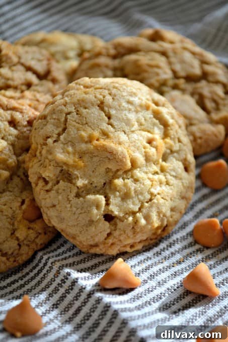 Delightful Oatmeal Butterscotch Cookies ready to be pinned and baked.