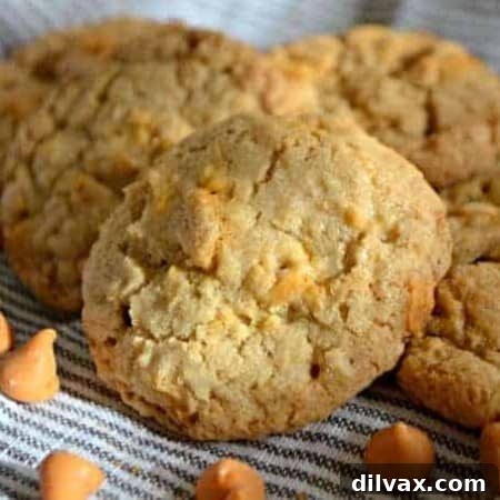 A delicious stack of Oatmeal Butterscotch Cookies