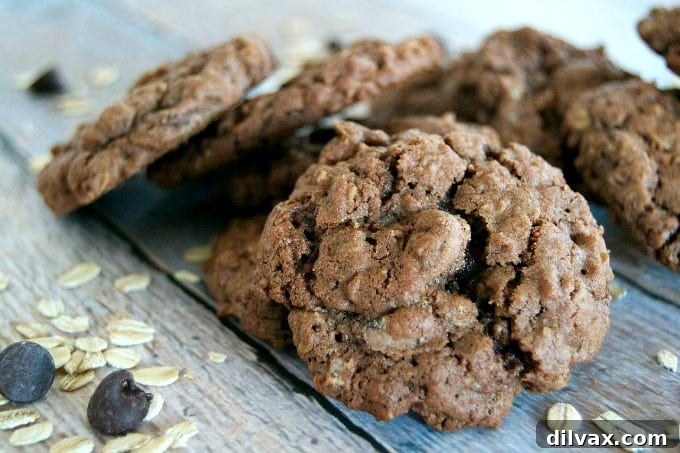 Rich and decadent double chocolate oatmeal cookies with cocoa and dark chocolate chips, a perfect indulgence for chocolate lovers.