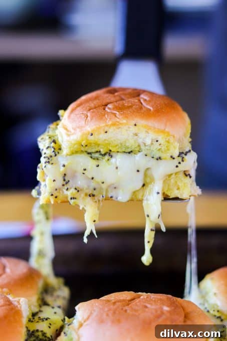 Party Perfect Ham and Cheese Sliders 3 Close-up of baked Ham and Cheese Sliders with melted Swiss cheese and poppy seeds visible.