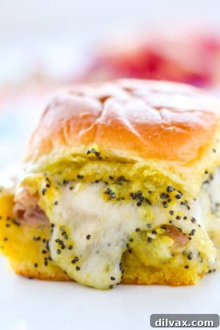 Party Perfect Ham and Cheese Sliders 5 Single Ham and Cheese Party Sandwich on a sweet Hawaiian roll, showing the layers of ham and melted Swiss cheese.