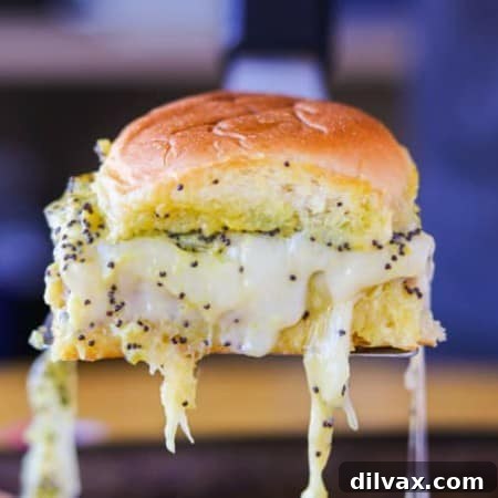 Ham and Cheese Sandwich