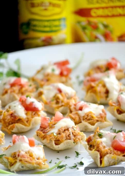 A stunning overhead shot of Chicken Enchilada Bites with garnishes, ideal for social media sharing.