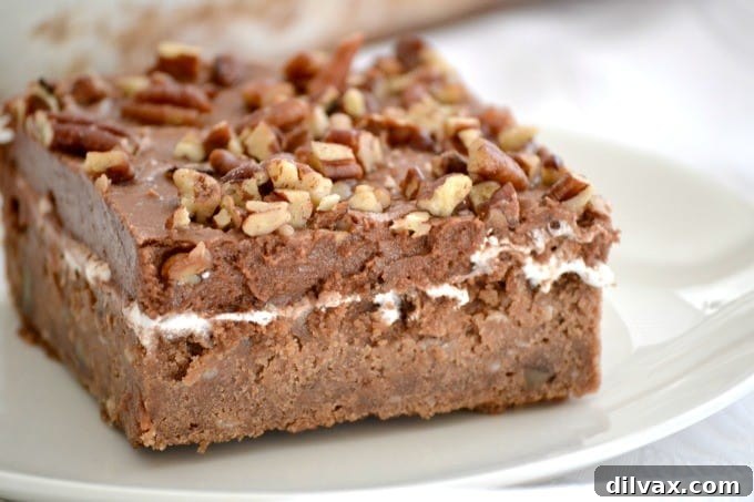 Mississippi Mud Cake is a rich chocolate cake pecans and coconut, topped with a layer of marshmallow cream, chocolate frosting and more pecan pieces.