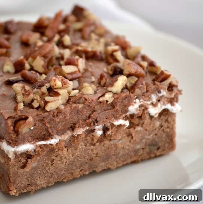 Mississippi Mud Cake is a rich chocolate cake pecans and coconut, topped with a layer of marshmallow cream, chocolate frosting and more pecan pieces.