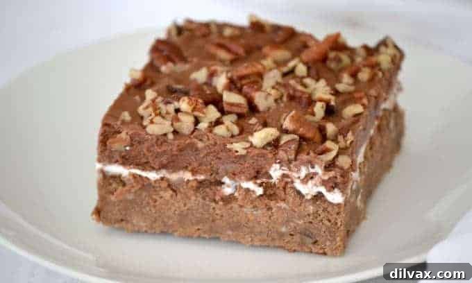 A slice of Mississippi Mud Cake, showcasing its rich chocolate base, marshmallow layer, and chocolate frosting topped with pecans.