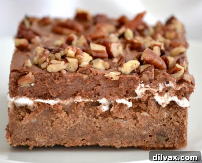 A beautifully decorated Mississippi Mud Cake slice on a plate, ready to be enjoyed.