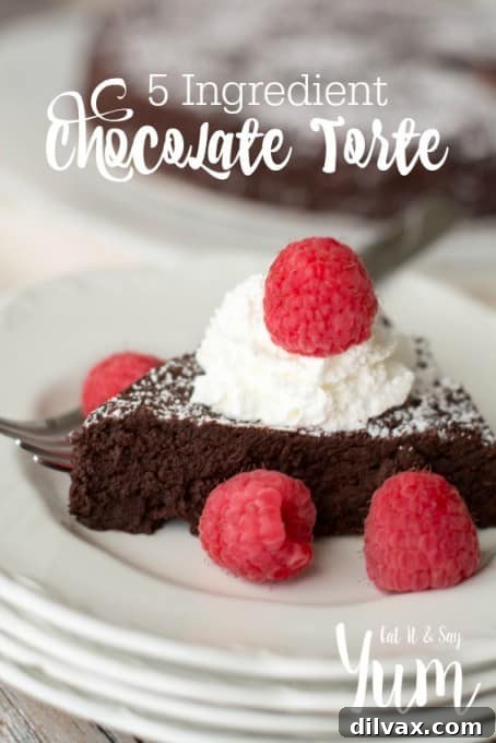 An incredibly rich, decadent, and deeply chocolatey dessert made with only 5 ingredients.