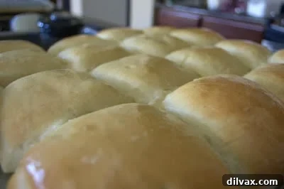 Warm, golden-brown Copycat Texas Roadhouse Rolls, perfectly baked and ready to be enjoyed.