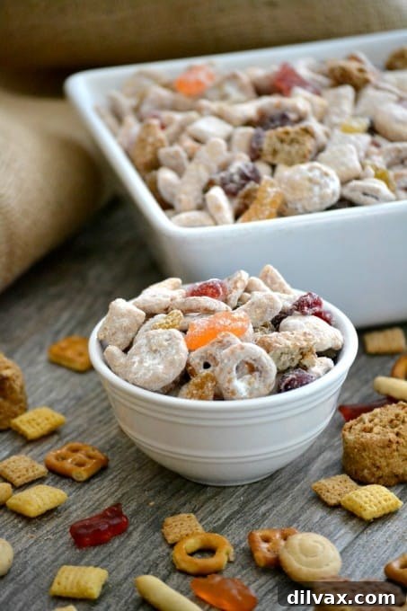 An overhead shot showcasing the delightful Cookie Butter Snack Mix with its various components perfectly blended together in a white bowl.