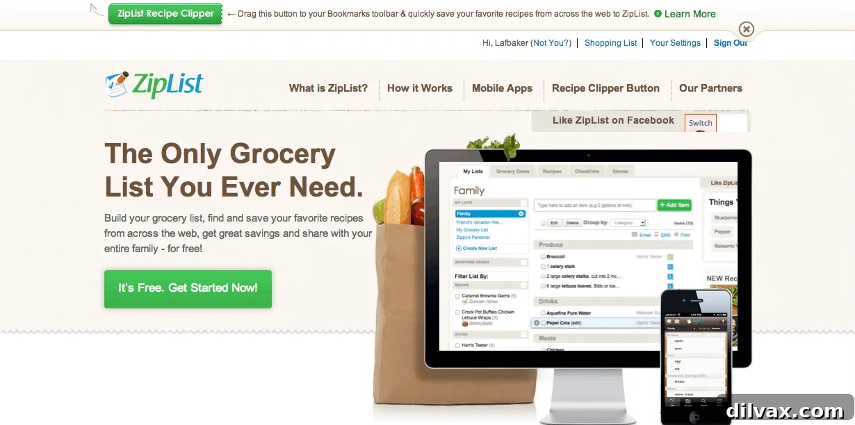 Stream Stitch 3 ZipList Logo and Interface