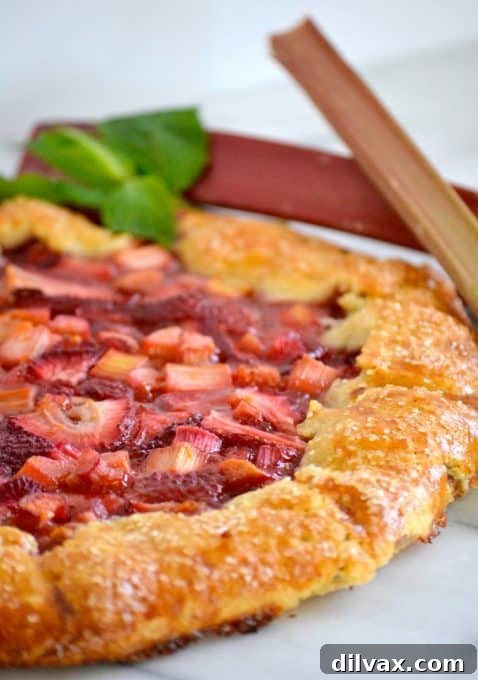 Overhead view of a beautiful Strawberry Rhubarb Galette, showcasing the perfectly folded crust and bubbling fruit filling.